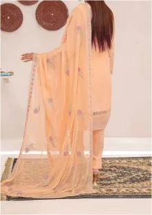 Bin Hameed Raiqa Embroidered Chickenkari Lawn 